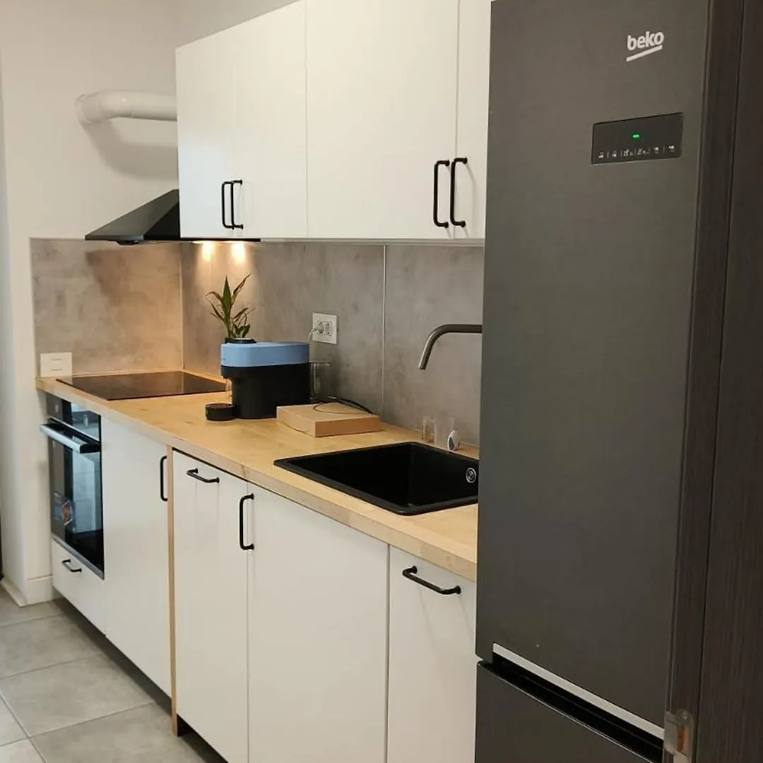 Cozy Apartment At Romexpo Bucharest